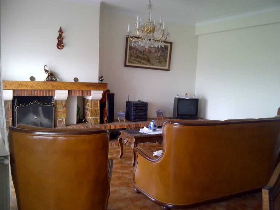 Salon avec Cheminée et une terrasse de 10 m2