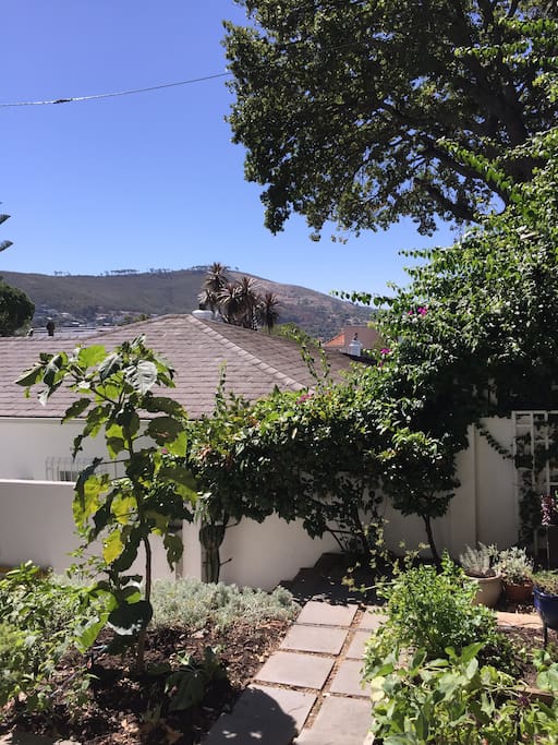 Views of Signal hill from cottage patio