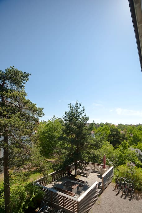 View from Bedroom