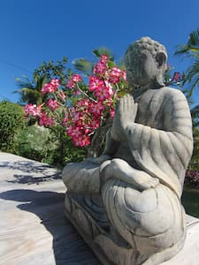 Villa Baobab Guadeloupe Villen Zur Miete In Sainte Anne