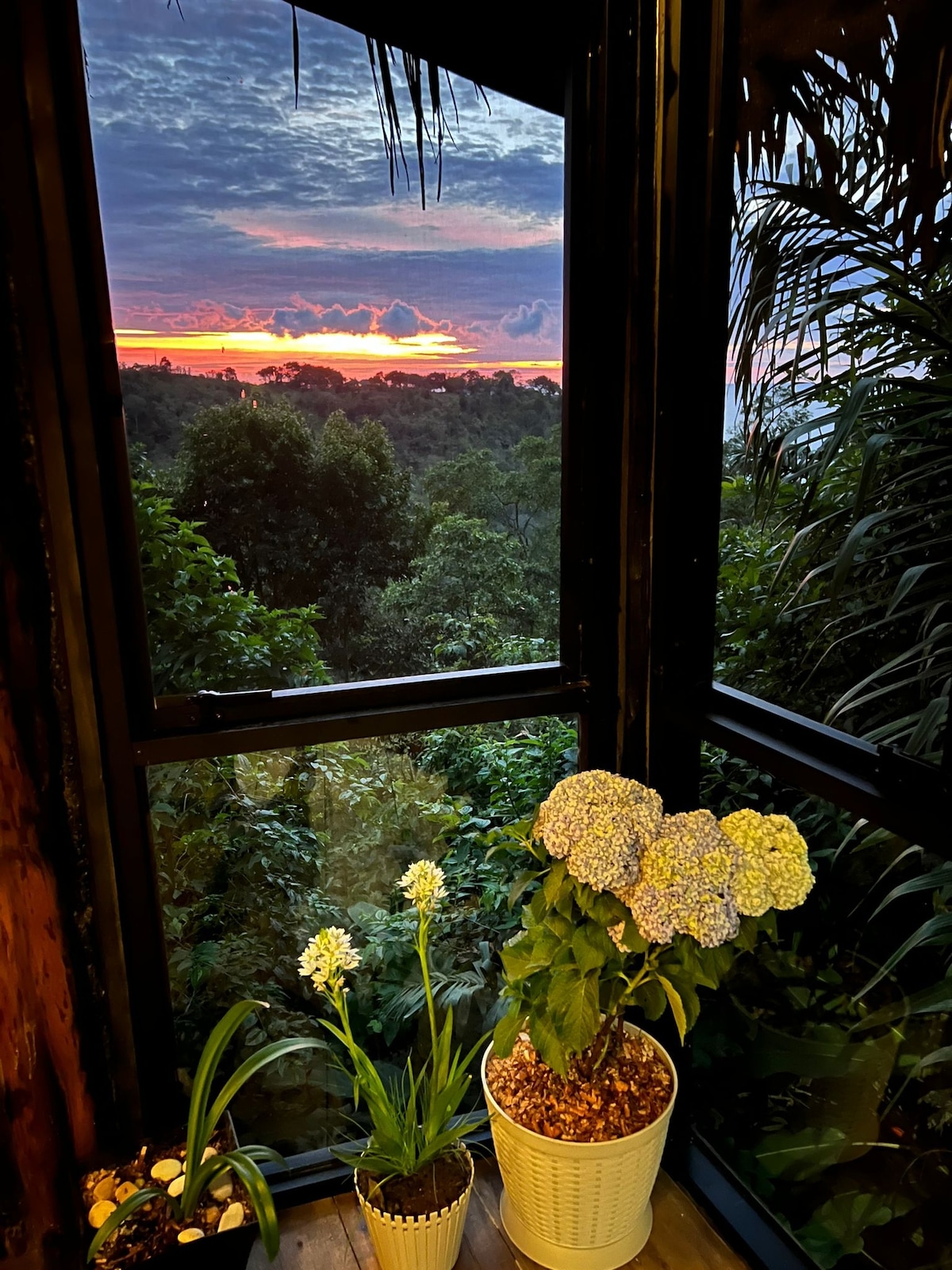 An inviting window frames a stunning sunset view, with vibrant orange and purple hues illuminating the sky. Two potted plants, one with yellow flowers and another with blue hydrangeas, sit on a wooden surface, adding a touch of nature indoors.