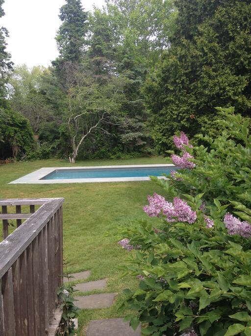View from back porch to the pool