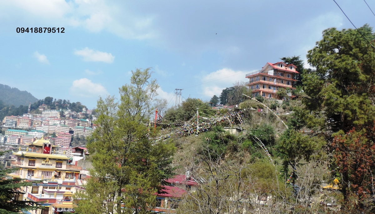 The image features a hillside view showcasing a cluster of buildings nestled among the greenery. Trees frame the foreground, while the upper portion displays a series of structured rooftops and terraces, highlighting the mountainous landscape typical of Shimla.