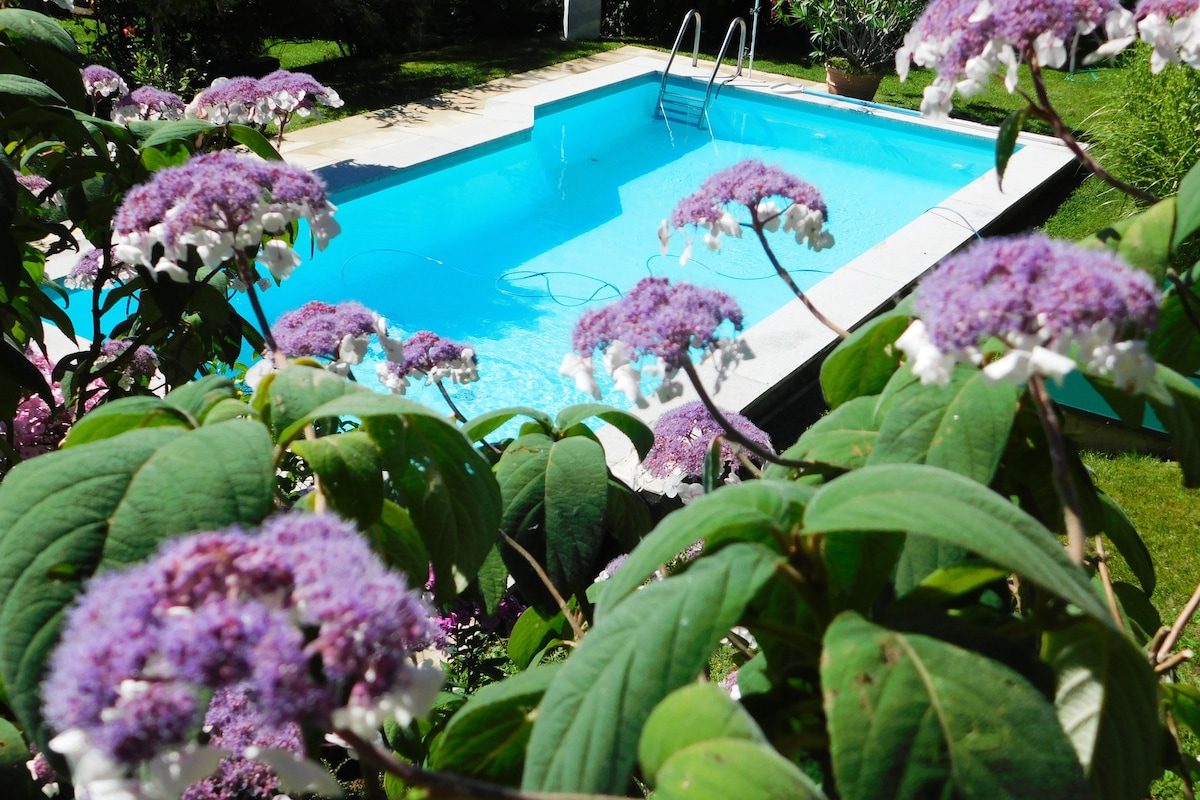 A private pool is framed by lush greenery and flowering plants. The clear blue water invites relaxation, while the surrounding garden adds a serene touch. Sunlight illuminates the scene, highlighting the vibrant colors of the blooming flowers.