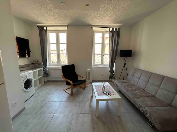 Splendide Appartement En Bastide - Carcassonne