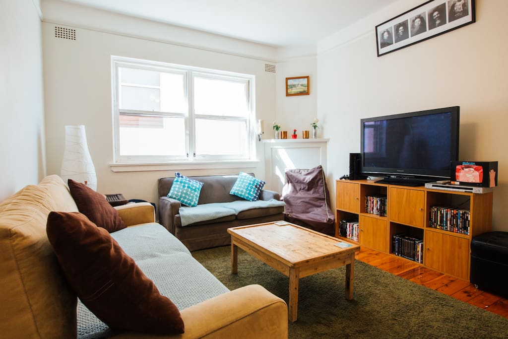 Living room with great DVD collection