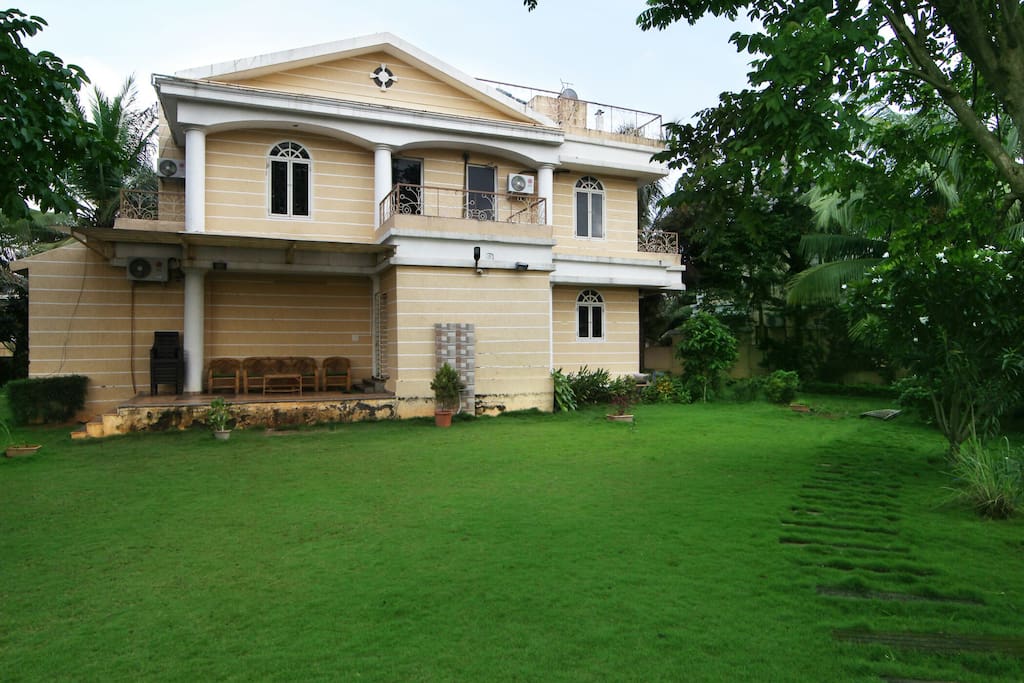 Lush green back yard