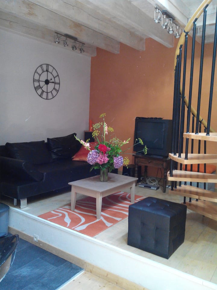 Moka : Loft Au Pied De L'hermitage - Tournon-sur-Rhône