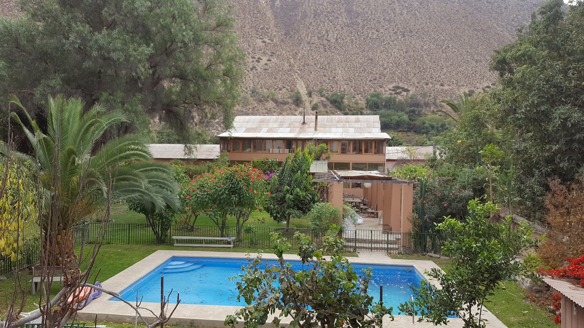 An outdoor view reveals a spacious green garden featuring a rectangular swimming pool. Surrounding plants and trees add natural beauty, while a charming building is visible in the background, complemented by shaded seating areas and vibrant flowers throughout the landscape.