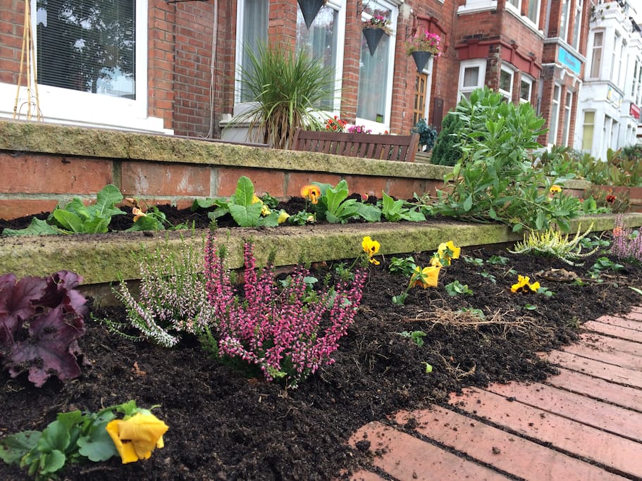 Just planted ready for winter