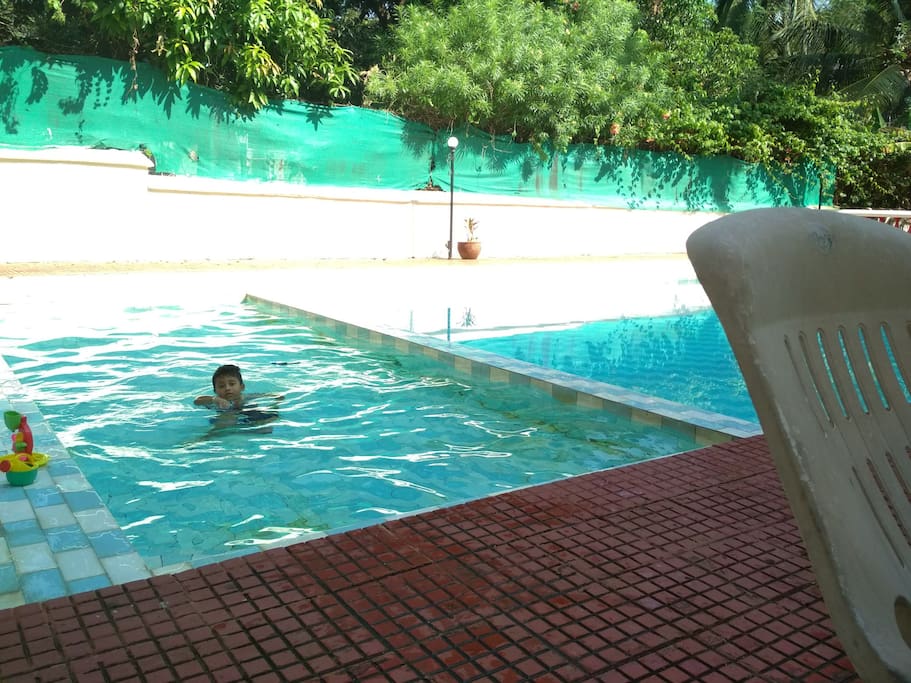 Dip in the day in the pool