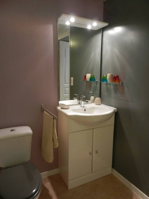 La salle d'eau côté lavabo et toilettes