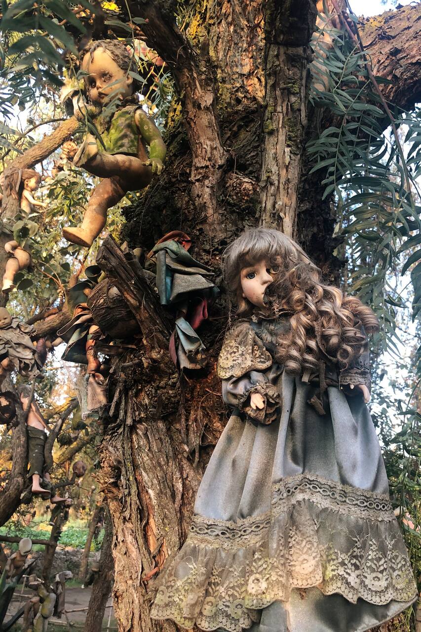 ソチミルコの秘密 人形島 Airbnb