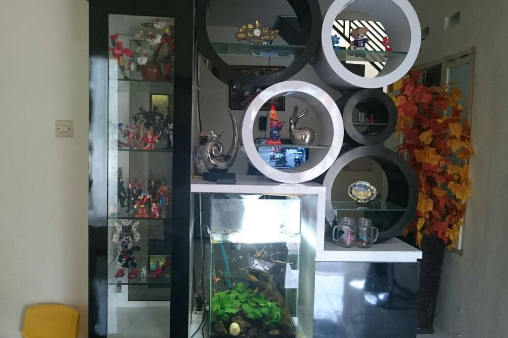 Aquascape dan display terkunci. Mainan anak gundam dll.