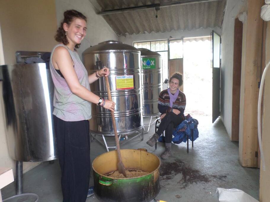 Preparando Cerveza Artesanal