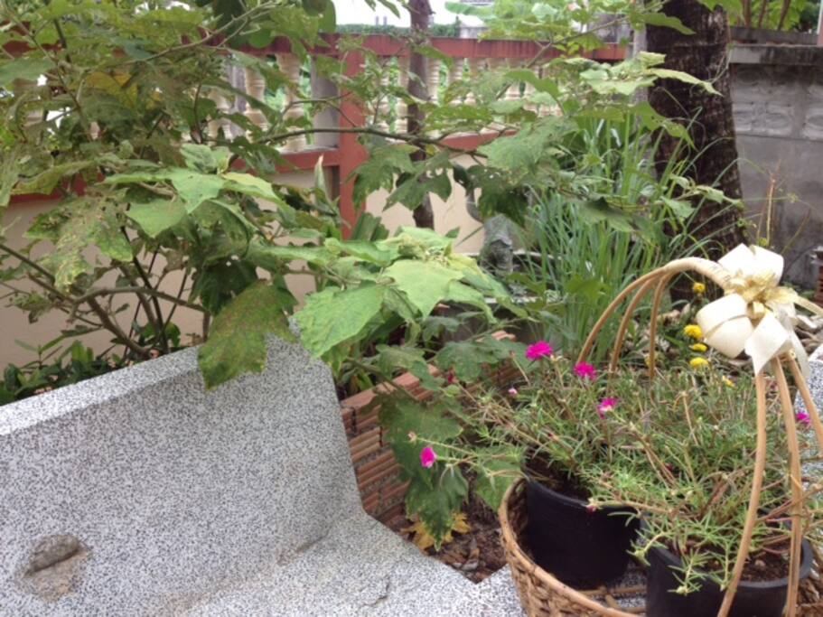 A corner for breathing, it is good for a morning coffee.