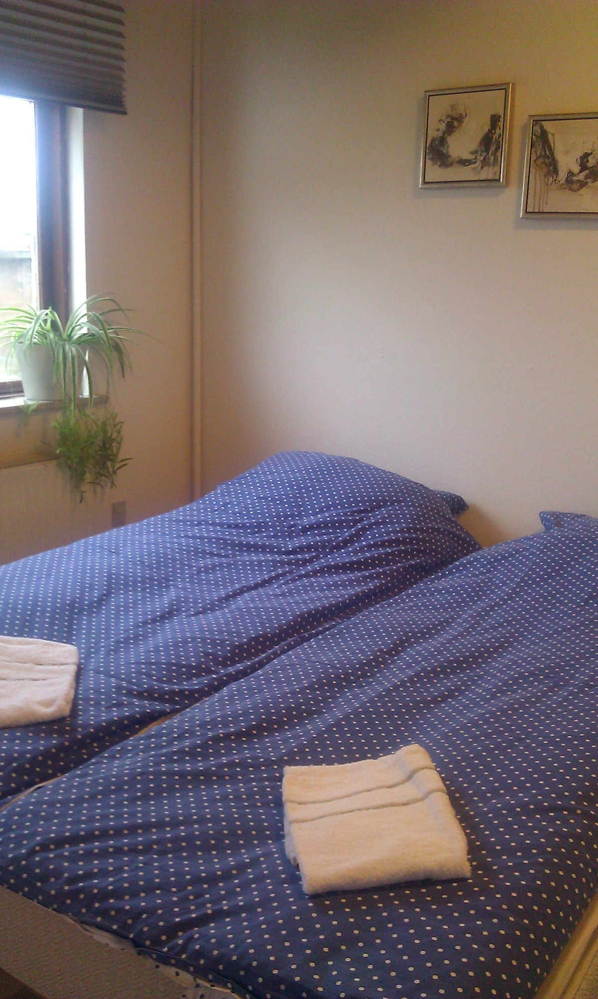 Сместувачки капацитети со брачен кревет (широк 125 - 149 см).