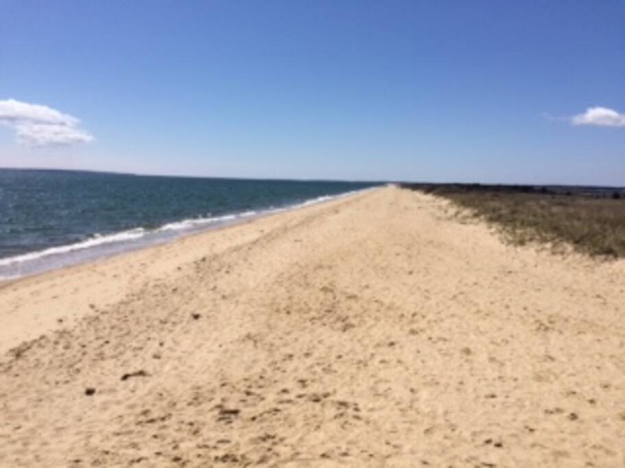 town beach