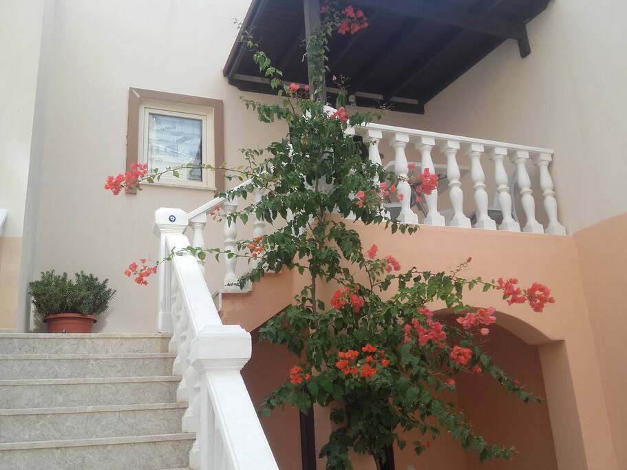 entrance of the apartment
