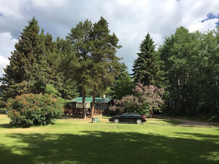 Quiet country cottage near lake Cottages for Rent in Leduc County