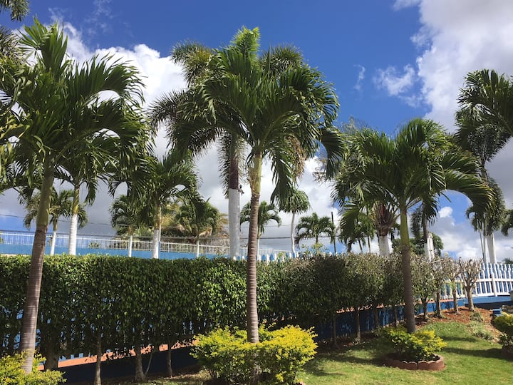 Christiana Vacation Rentals & Homes Manchester Parish, Jamaica Airbnb