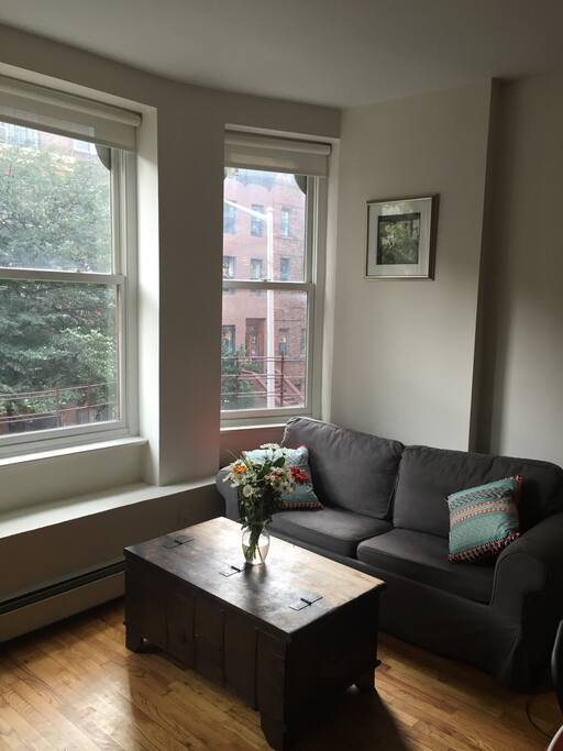 Beautiful, Sunny Living room, with Sofa-bed