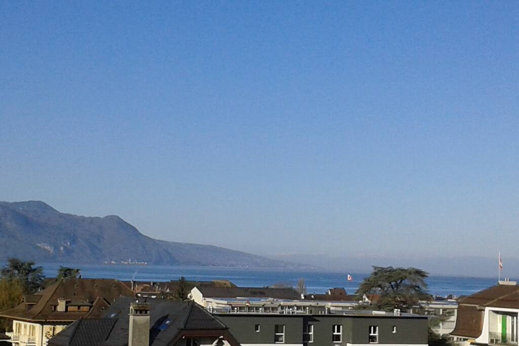 View from