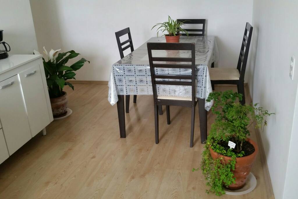 Apartamento aconchegante, cheio de plantas.