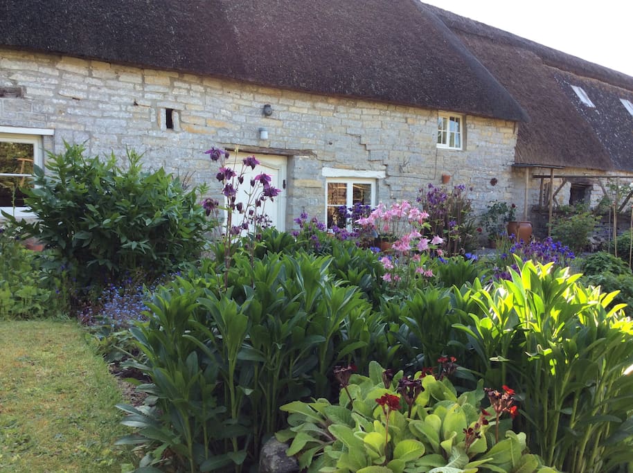 The garden