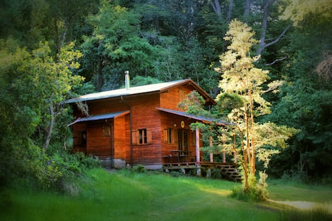 Husky Farm- Family Cottage