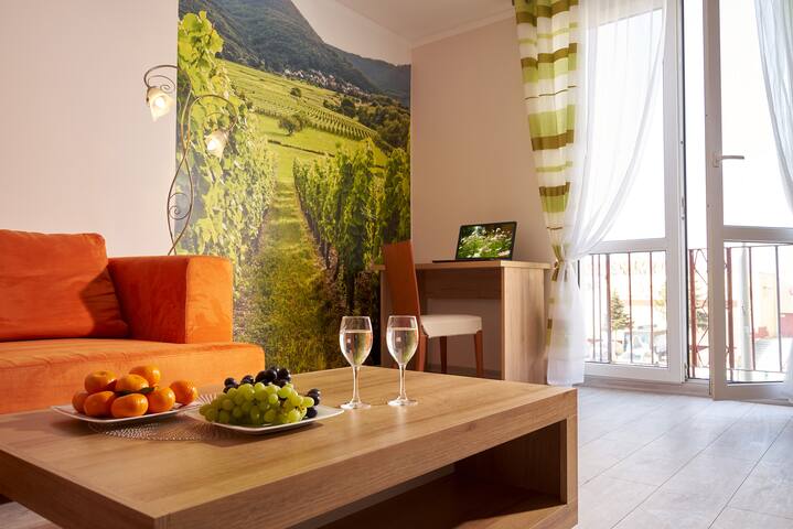 Apartment Vineyard Centrum