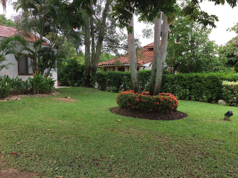 Jardín - Entrada principal