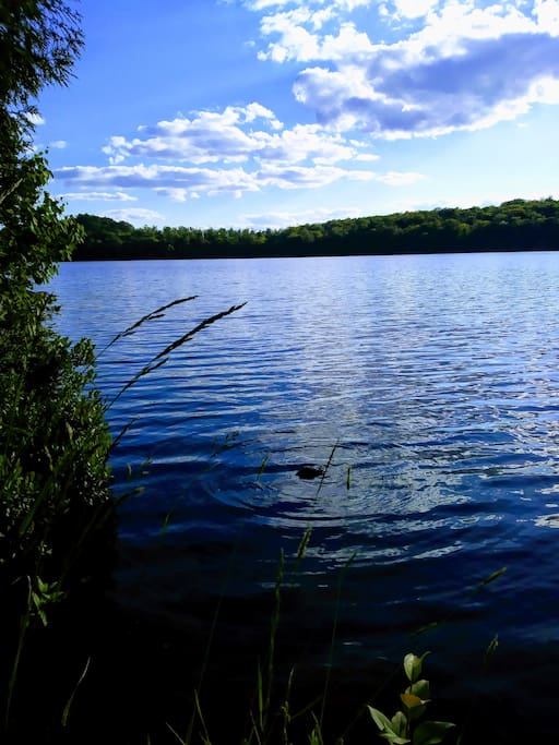 Beautiful Newark pond