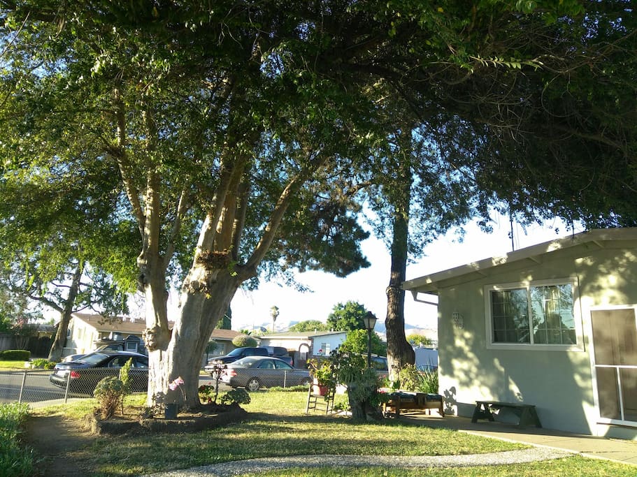 FRONT VIEW OF THE UNIT