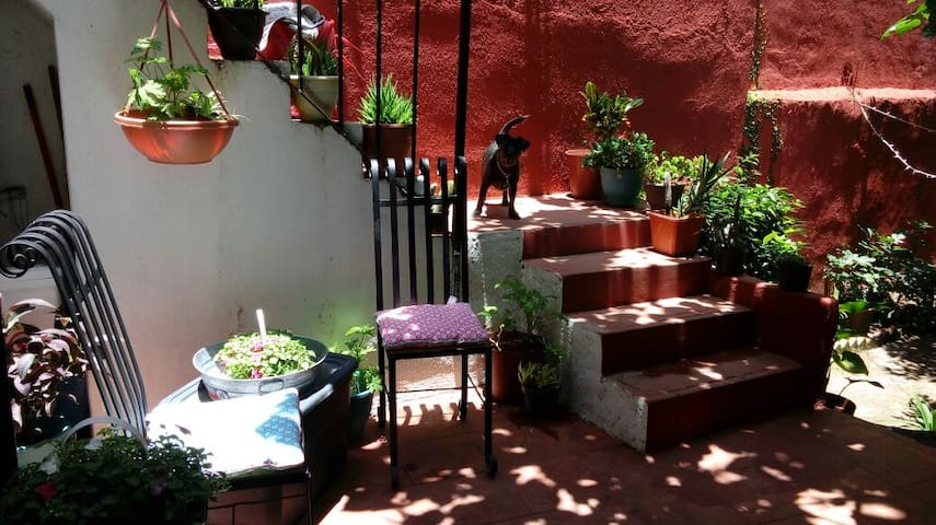 The Secret Garden (private studio/centro)素晴らしい場所