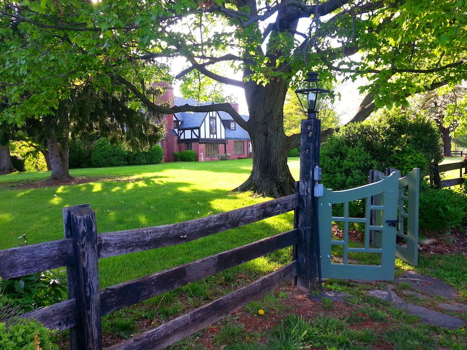 Sunny front yard.