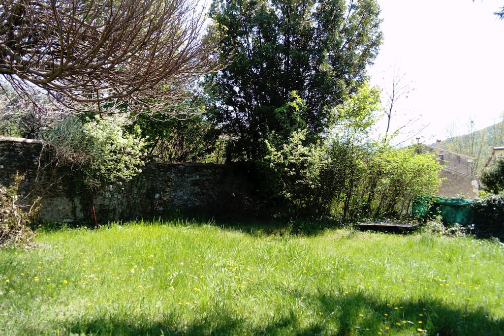 Jardin arboré