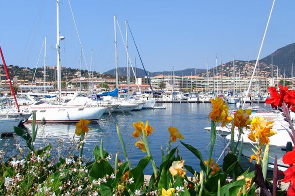 Port de Cavalaire