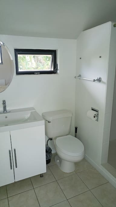 Full bathroom with spacious shower