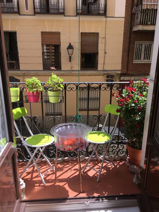 Terraza