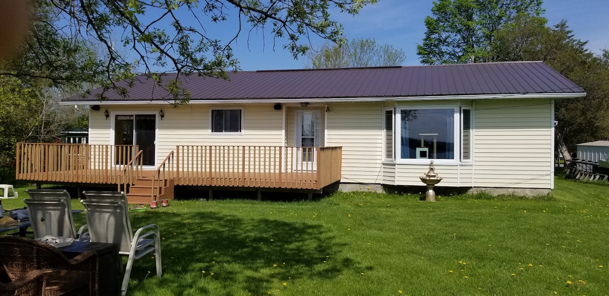 The cabin exterior features a light-colored facade with a metal roof. A wooden deck wraps around the front, equipped with seating arrangements. Two large windows allow natural light to enter the interior, while green grass surrounds the structure, complemented by trees in the background.