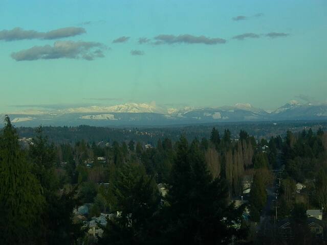 Modern 5 Bedroom Luxury gallery image 4