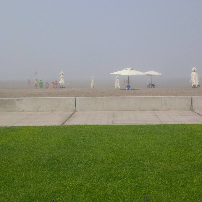 Visita desde el malecón