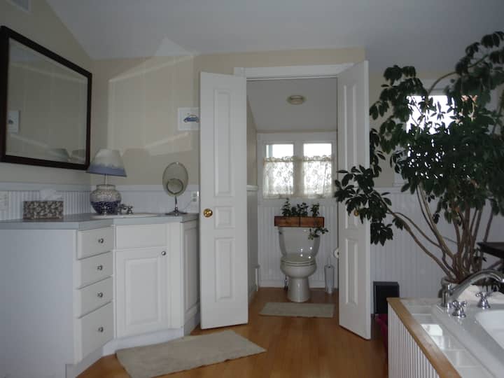 Summer House on Harvest Cove Houses for Rent in Harvey Cedars, New Jersey, United States Airbnb