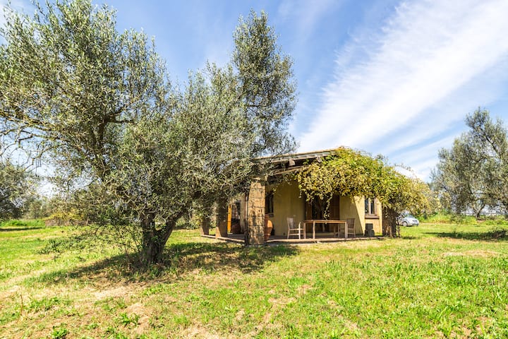 Agriturismo Casa Caponetti - Tuscania