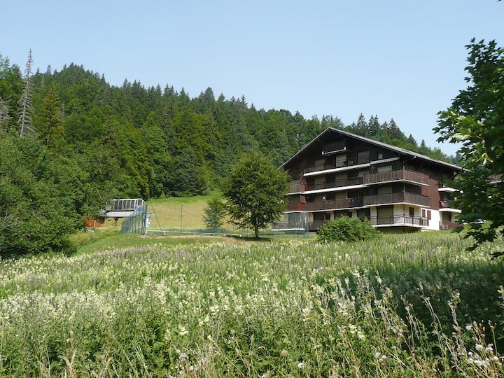 HabèreLullin Alloggi e case vacanze AlverniaRodanoAlpi, Francia