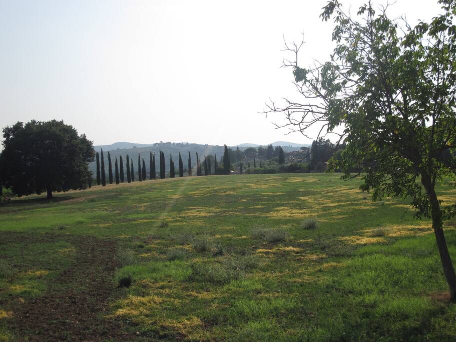 veduta dal giardino