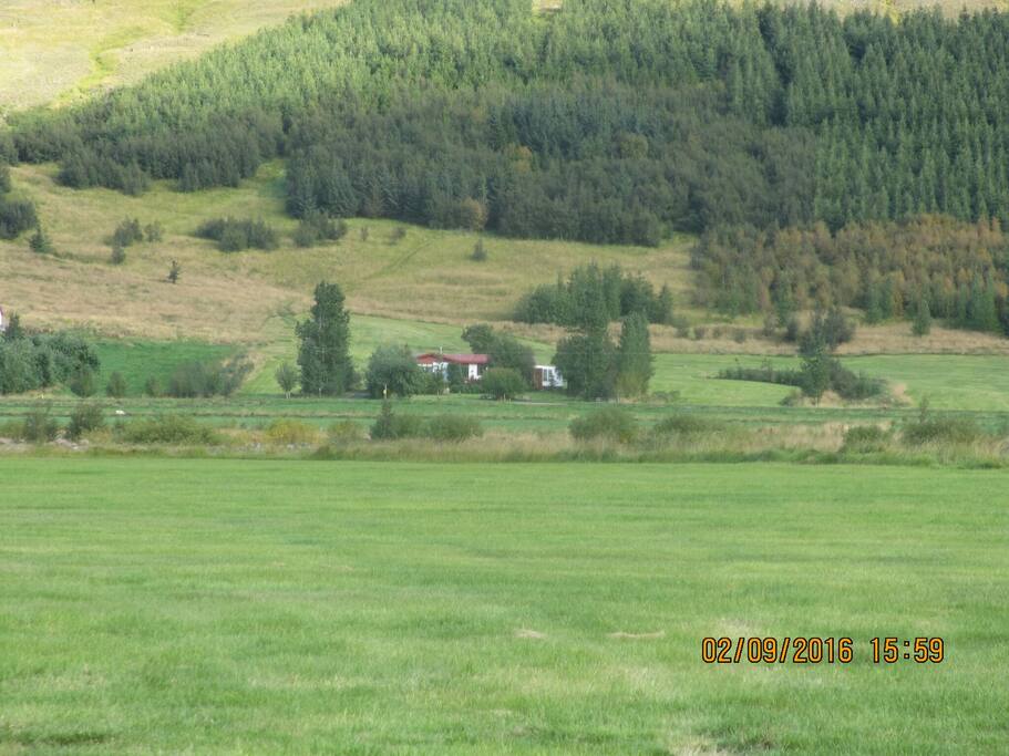 Arnarfell