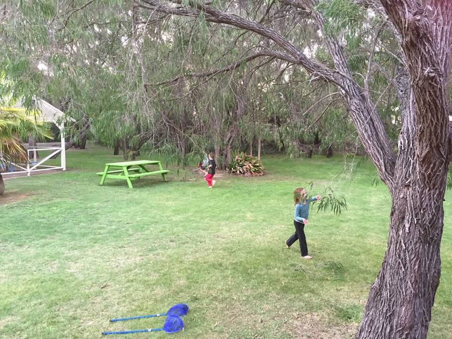 Fabulous grounds within the park