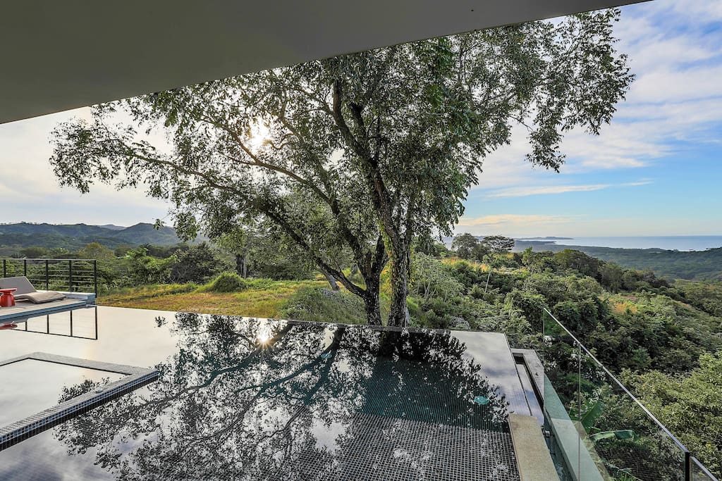 Exterior View - Infinity pool with the hillside and Pacific ocean view.